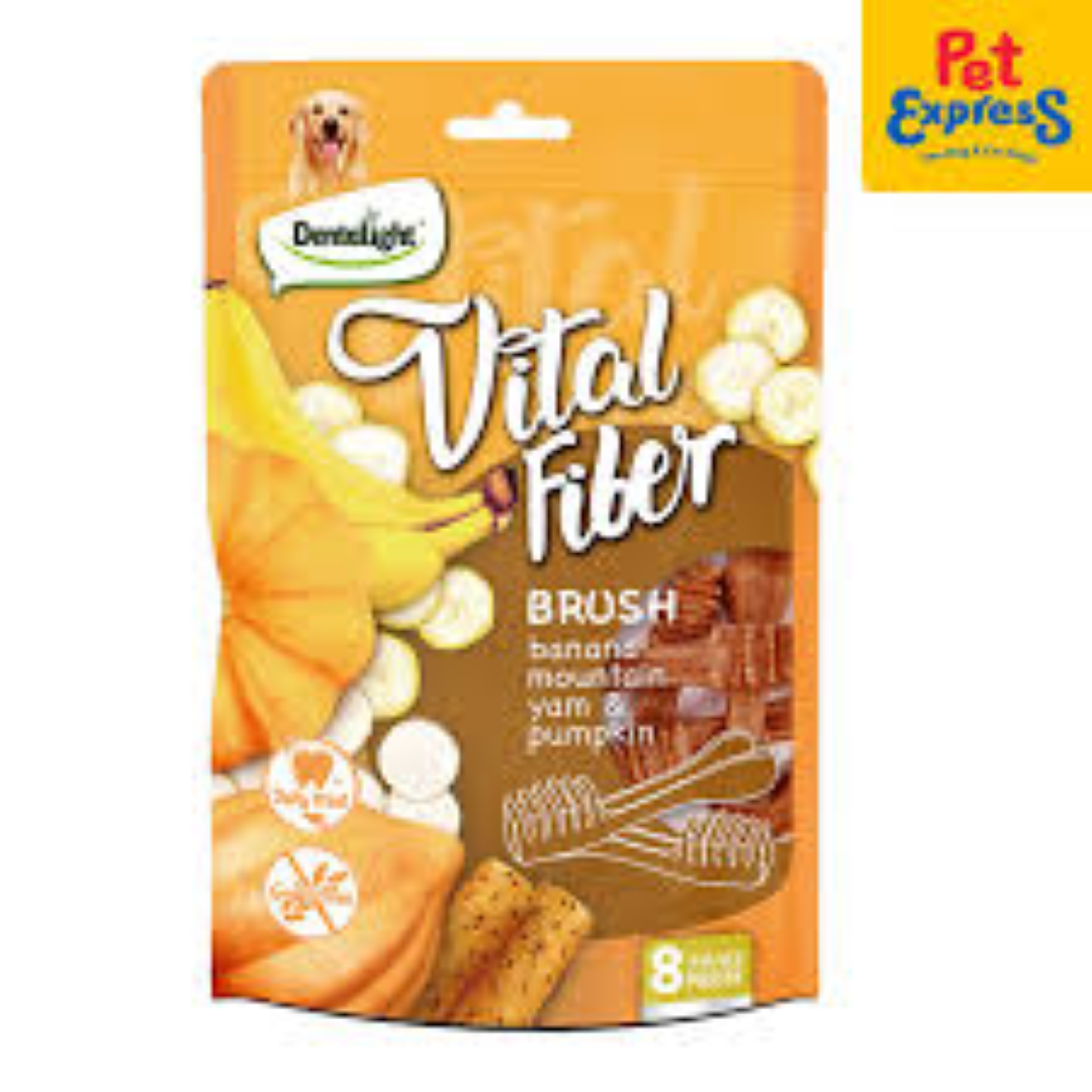 2.7" VITAL FIBER BRUSH BANANA, MOUNTAIN YAM & PUMPKIN 80GR